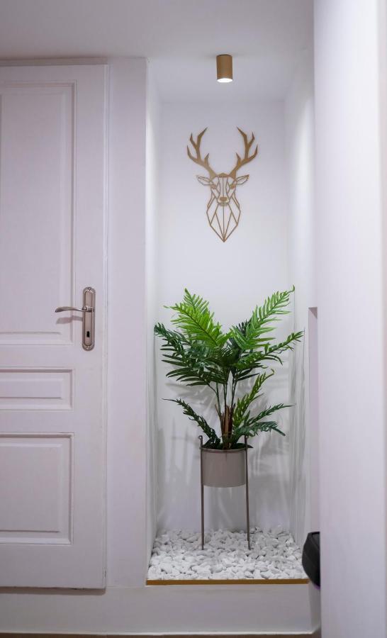 Coban Residence - A3 - Scandinavian Apartment บราชอฟ ภายนอก รูปภาพ